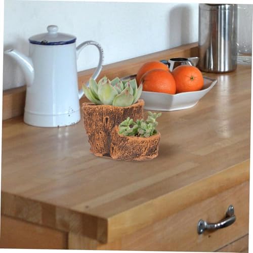 Abaodam Tree Root Flower Pots Unique Driftwood Design for Succulents Small Plants Durable Decorative Planter for Home Office Garden Use - Image 6