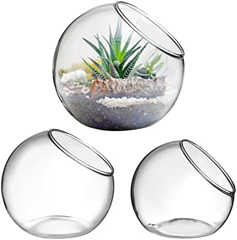 INOOMP 3 Pcs Glass Terrariums for Plants,Plant Terrarium Display Glass Tabletop Succulent Air Plant Planter Globe Microlandschaft House by INOOMP