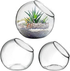 INOOMP 3 Pcs Glass Terrariums for Plants,Plant Terrarium Display Glass Tabletop Succulent Air Plant Planter Globe Microlandschaft House by INOOMP