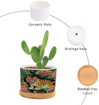 Chinoiserie Tiger Ceramic Planters Green and Turquoise Tiger Stripe Snake Plant Live Indoor with Pot with Drainage Holes and Saucers Pot for Home Office Desk Garden - Image 3