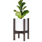 D'vine Dev Plastic Pot with Walnut Wood Stand, White, 8 in, 55-C-I-1 by DvineDevPlanterPotsandStand