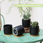 4" Ceramic Plant Pots with Drainage Holes & Trays Black Set of 4 - Image 5
