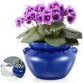 1 Sets African Violet Pots 7.5 Inch Self Watering Pot for Indoor Ceramic Self Watering Planter for Flower Lovers Ideal Plant Pot Thriving Flower Maintenance by Sunnychicc