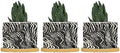in Beige Ceramic Planters Black White Zebra Print Planters for Outdoor Plants with Drainage Holes and Saucers Pot for Outdoor Garden Home Plant by BRUYU5SE