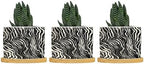 in Beige Ceramic Planters Black White Zebra Print Planters for Outdoor Plants with Drainage Holes and Saucers Pot for Outdoor Garden Home Plant by BRUYU5SE