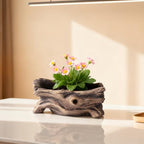 Concrete Planter Driftwood Stump, Decorative Tree Root Pot 7.9 X 4.3 X 3.1 in, Single Hole, Faux Wood Grain, Home & Garden - Image 3