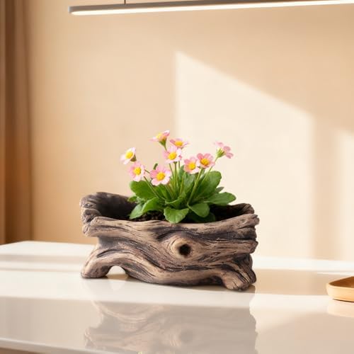 Concrete Planter Driftwood Stump, Decorative Tree Root Pot 7.9 X 4.3 X 3.1 in, Single Hole, Faux Wood Grain, Home & Garden - Image 3