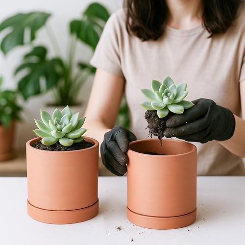 D'vine Dev 2-Pack Terracotta Plant Pots with Saucers, 5 Inch, 40-X-B-2 - Image 6