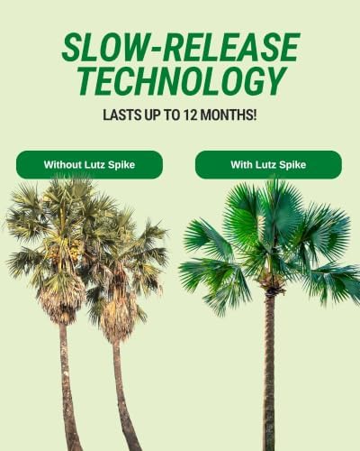 Lutz Corporation, Palm Tree Fertilization Spikes, Manganese 40 Pack - Image 5