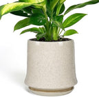 11 Inch Ceramic Planter Pot with Saucer Drainage Leak-Proof Mesh,Flower Pots for Lavender with Gardening Gloves,Ceramic Planter for Orchid(Silk White) by Unknown