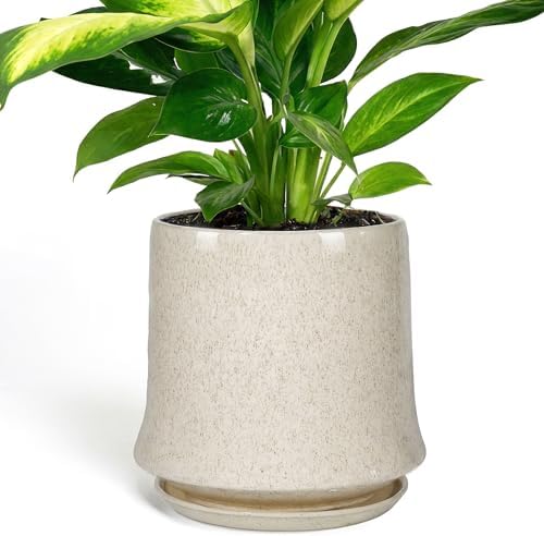 11 Inch Ceramic Planter Pot with Saucer Drainage Leak-Proof Mesh,Flower Pots for Lavender with Gardening Gloves,Ceramic Planter for Orchid(Silk White) by Unknown