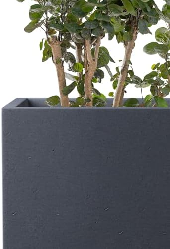 Kante Small Tall Square Charcoal Concrete Planter 13" H, Outdoor - Image 7