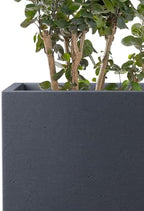 Kante 19 Inch Tall Concrete Planter, Modern Charcoal Round Planter - Image 3