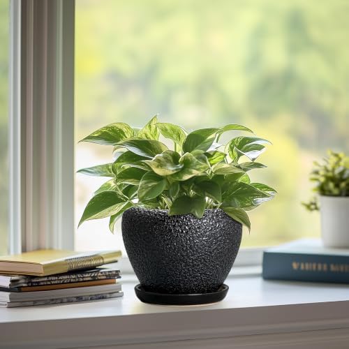 Ceramic Planter 6 Inch, Ceramic Plant Pots Indoor, Black - Image 5