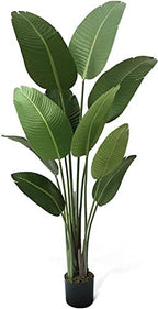 Fencer Wire Artificial Bird of Paradise Tree, Fake Plant in Pot with Dried Moss, Premium UV Resistant Lifelike Tropical Home Décor, 5 Feet, 60 Inch Faux Tree with 10 Trunks for Indoor/Outdoor Use by Fencer+Wire