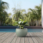 Kante Large Round Bowl Mint Green Concrete Planter 19.9" Dia, Outdoor - Image 3