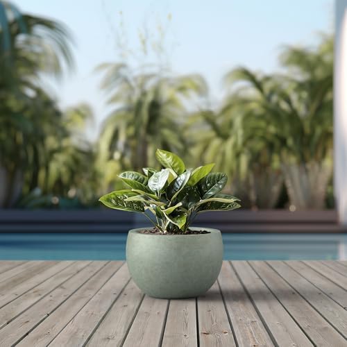 Kante Large Round Bowl Mint Green Concrete Planter 19.9" Dia, Outdoor - Image 3