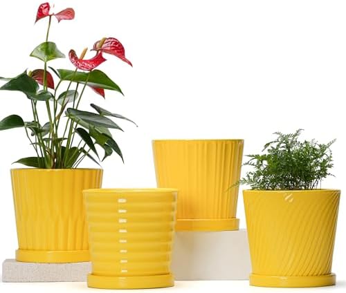 Ton Sin Plant Pots, 6 Inch Flower Pots for Plants,Ceramic Planter with Drainage Holes,Indoor Planter Pots with Saucer,Outdoor Garden Pots (Yellow, 4 Pack) by TonSin