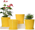 Ton Sin Plant Pots, 6 Inch Flower Pots for Plants,Ceramic Planter with Drainage Holes,Indoor Planter Pots with Saucer,Outdoor Garden Pots (Yellow, 4 Pack) by TonSin