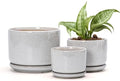 Ceramic Planters,Plant Pots with Saucers Set of 3(Reactive Glaze White) by TonSin