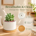 ZOUTOG 12 PCS 3.6" Ceramic Succulent Pots,White Planter with Drainage Tray - Image 3