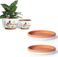 Glazed Terracotta Pot Sets & Saucers Set by YBXYIBOXUAN