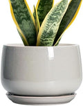 G EPGardening Ceramic Plant Pots, 7 Inch Plant Pot, Light Grey by GEPGardening