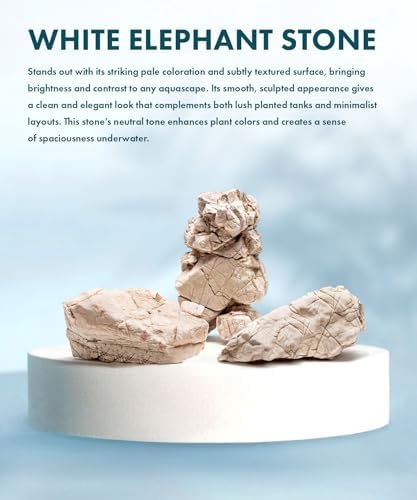 SubstrateSource Natural Aquarium Stones - Off-White Textured with Grooves Decorative Aquascaping Rocks for Betta Fish Tank, Goldfish, Cichlids, Hermit Crab & Terrariums - White Elephant Skin, 5 LB - Image 2