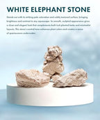 SubstrateSource Natural Aquarium Stones - Off-White Textured with Grooves Decorative Aquascaping Rocks for Betta Fish Tank, Goldfish, Cichlids, Hermit Crab & Terrariums - White Elephant Skin, 5 LB - Image 2