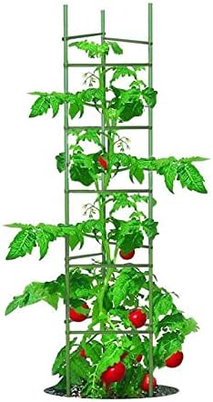 Growsun Tomato Cage for Garden, Upto 73 inch 6 PackTall Tomato Trellis Garden Stakes Plant Support, Green(5ft Stake add 18 inch Adjustable Stakes) by Growsun