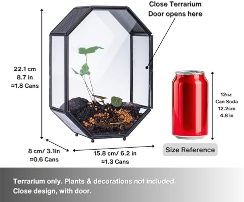 NCYP Glass Enclosure Terrarium with Mesh and Door for Spiders, Small Mantis, Jumping Spider - Octagon Shape Vented Glass Terrarium 6.2 x 3.1 x 8.7 inches, Black (Plants Not Include) - Image 4