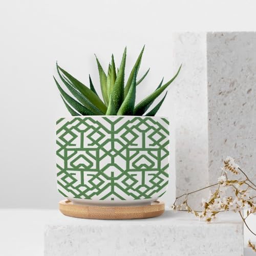 Grey Sage Green Century Ceramic Planter Snake Plant Live Indoor with Pot with Drainage Holes and Saucers Pot for Home Office Desk Garden - Image 7