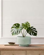 Succulent Pots, 8"+6" Plant Pots, Ceramic Planters for Indoor Plants - Image 5