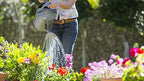 Gardenera Moisture Control Potting Mix - Perfect for Indoor and Outdoor Container Gardening! - 4 Quart - Image 4