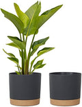Plant Pots for Indoor Plants, 2 Pack 12 Inch Pots for Plants (12” Black) by kubvici