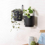2 Pcs Wall Mounted Hanging Planter Vase for Indoor and Outdoor Plants Modern Metal Wall and Ceiling Planter Minimalist Flower Pot (Black, 5.91 inch) - Image 4