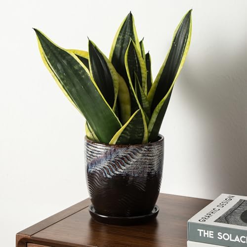 4+5.75 Inch Ceramic Planter Set of 2 with Drainage Hole and Saucer for Plants, Indoor-Outdoor Large Round Succulent Orchid Flower Pot -Reactive Color Spot(Inner-pots not Larger Than 5 Inch) - Image 6