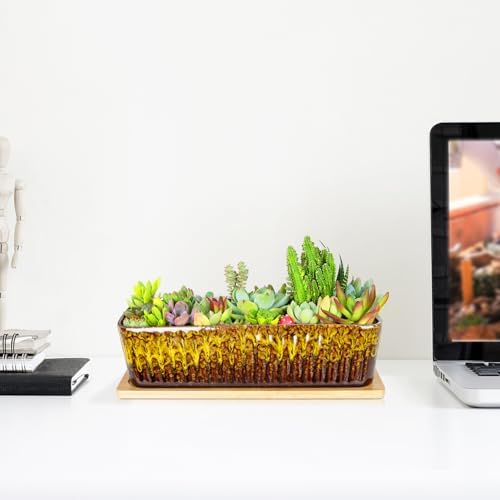 Succulent Pots, 12'' Long Rectangle Planters with Tray, Windowsill Planter - Image 5