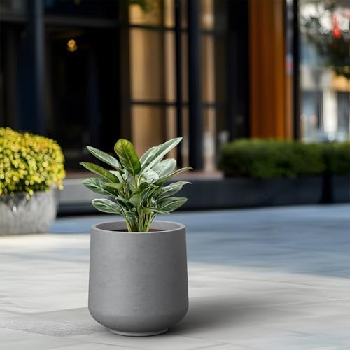 Kante Modern Home Minimalist 16.5" Dia Pale Gray Concrete Curved Planter - Image 4