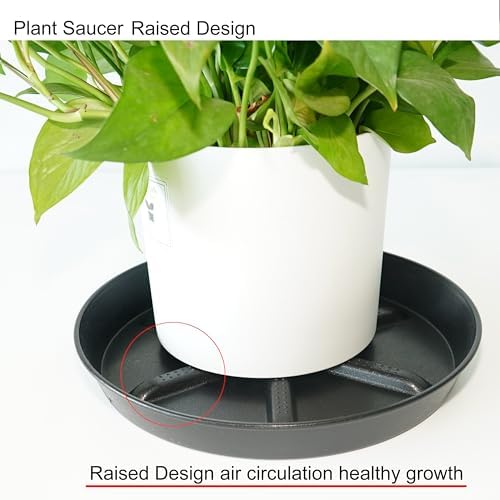 NIMYAU Plant Saucer 17 Inch 2 Pack, Raised Center for Optimal Drainage Plant Saucers, Durable Plastic Drip Tray for Large Indoor & Outdoor Plants - Image 4