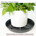 NIMYAU Plant Saucer 17 Inch 2 Pack, Raised Center for Optimal Drainage Plant Saucers, Durable Plastic Drip Tray for Large Indoor & Outdoor Plants - Image 4