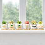 Succulent Pots with Drainage, 3.2" Small Plant Pots with Bamboo Trays, Ceramic Pots for Indoor Plants, Cactus Pots, Mini Succulent Planters for Home Garden Decor, Set of 6 - Image 6