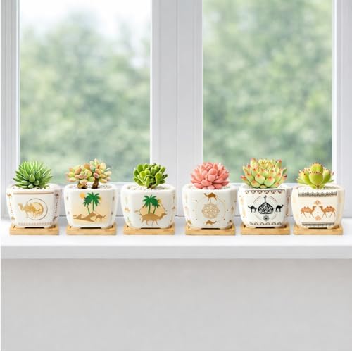 Succulent Pots with Drainage, 3.2" Small Plant Pots with Bamboo Trays, Ceramic Pots for Indoor Plants, Cactus Pots, Mini Succulent Planters for Home Garden Decor, Set of 6 - Image 6
