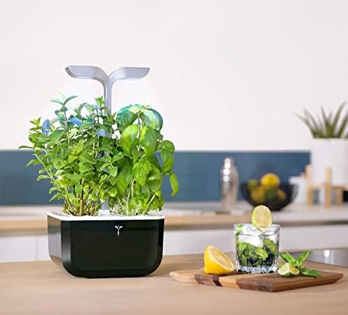 Veritable EXKY Smart Soft Black - Hydroponics Growing System, Indoor Garden w/LED Grow Light, 2 Organic pre-seeded Lingots® Refills Included. Self Irrigation w/Blinking Alert. Made in France - Image 3