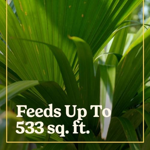 Miracle-Gro Shake 'N Feed Palm Plant Food, 8 lb. - Image 3