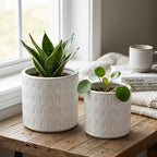Planters, White Ceramic with Geometric Pattern, Set of 2 by Noeko