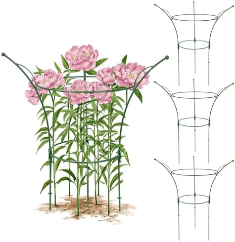 4 Pack Peony Cages and Supports Cages 13" D x 22.8" H Sturdy Metal Support Frame for Peonies & Roses Natural Bouquet Shape Garden Stakes for Outdoor Plants Flowers Ornamental (Green) by Heytimi