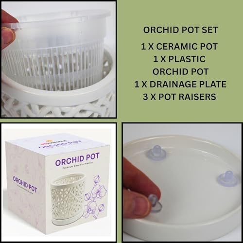 Large Ceramic Orchid Pot with Holes, 6 Inches Wide, for Indoors or Outdoors with Woven String Cut Out Design, Orchid Planters, Orchid Gifts (String Cut Out Design) - Image 6