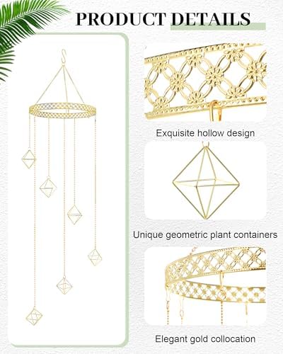 Willinglong 6 Pcs Hanging Air Plant Holder, Gold Tillandsia Air Plant Holders Unique, Airplants Live Holders, Air Fern Macrame Display for Indoor Home Office Ceiling Wall Decor - Image 3
