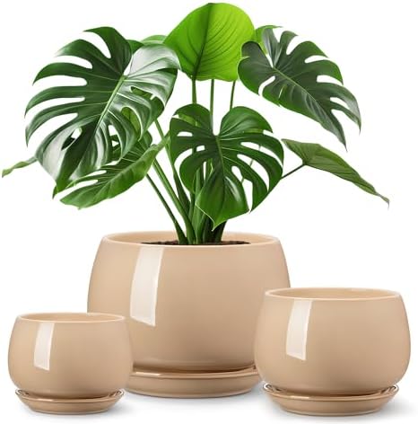 vancasso 3-Pack Ceramic Plant Pots, 3.7/4.8/6.2 Inch Indoor Planters with Saucers & Drainage Hole Planter pots for Indoor Plants and Flower, Brown by vancasso